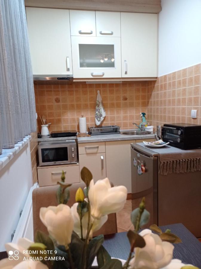 Apartman Harmonija Vrnjačka Banja Zewnętrze zdjęcie