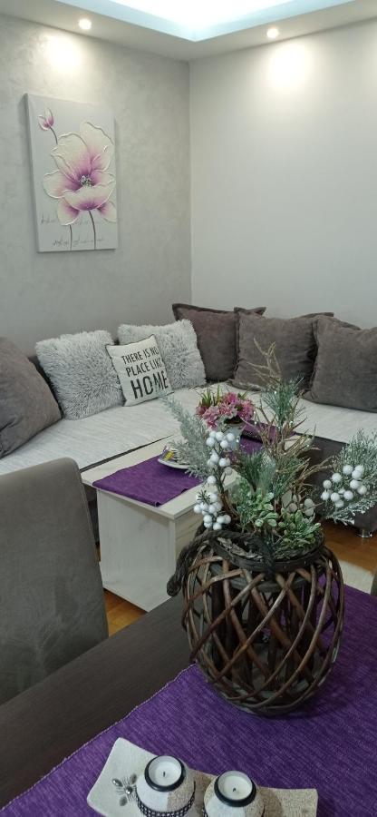 Apartman Harmonija Vrnjačka Banja Zewnętrze zdjęcie