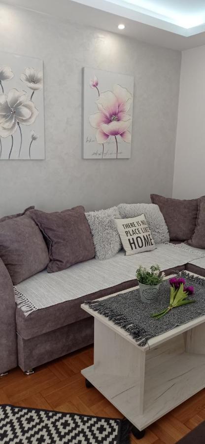 Apartman Harmonija Vrnjačka Banja Zewnętrze zdjęcie