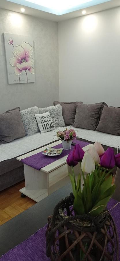 Apartman Harmonija Vrnjačka Banja Zewnętrze zdjęcie