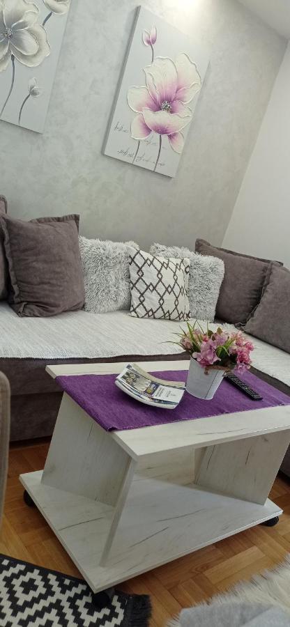 Apartman Harmonija Vrnjačka Banja Zewnętrze zdjęcie