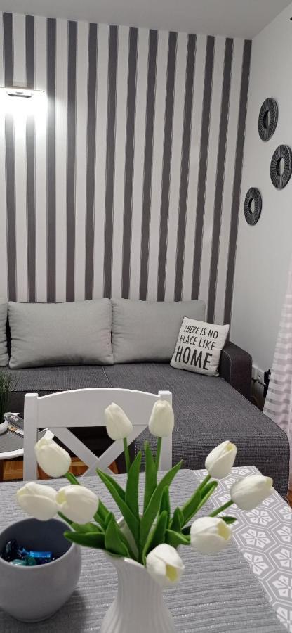 Apartman Harmonija Vrnjačka Banja Pokój zdjęcie