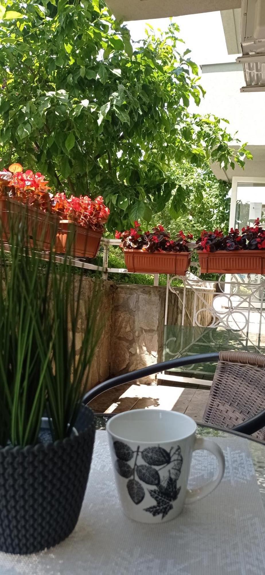 Apartman Harmonija Vrnjačka Banja Zewnętrze zdjęcie